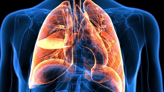Immune System