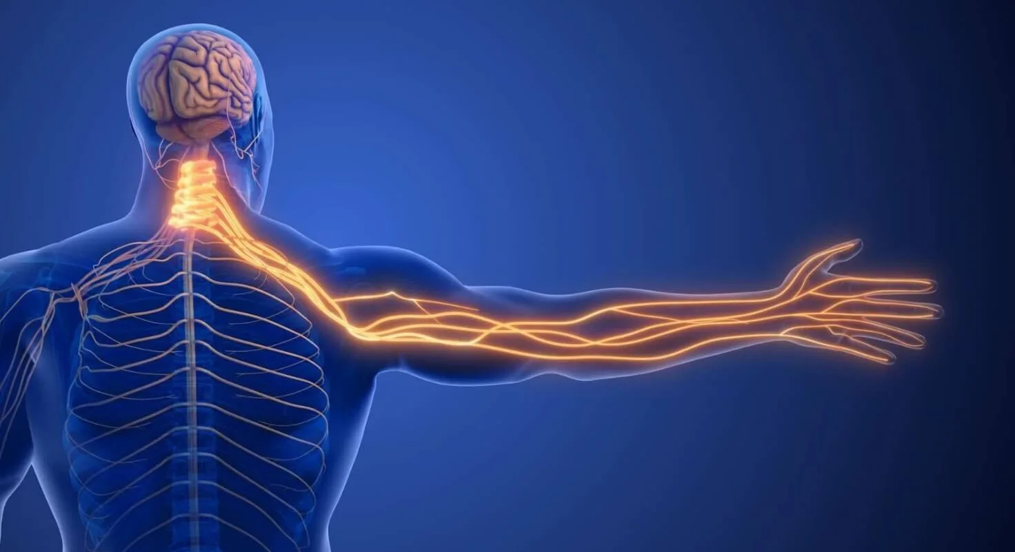 Peripheral Nerve Stimulation Tampa FL
