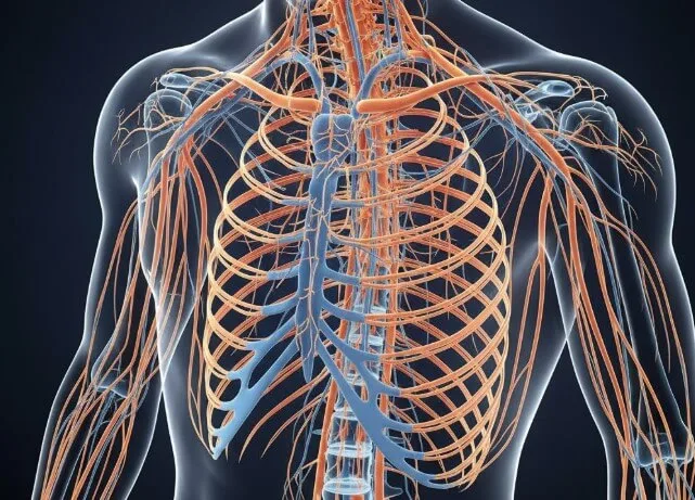 How Does a Spinal Cord Stimulator Work